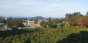 Backrokdam pension